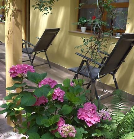 Oázis Apartman Eger Exterior foto